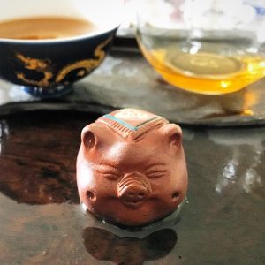 Piggy the tea pet